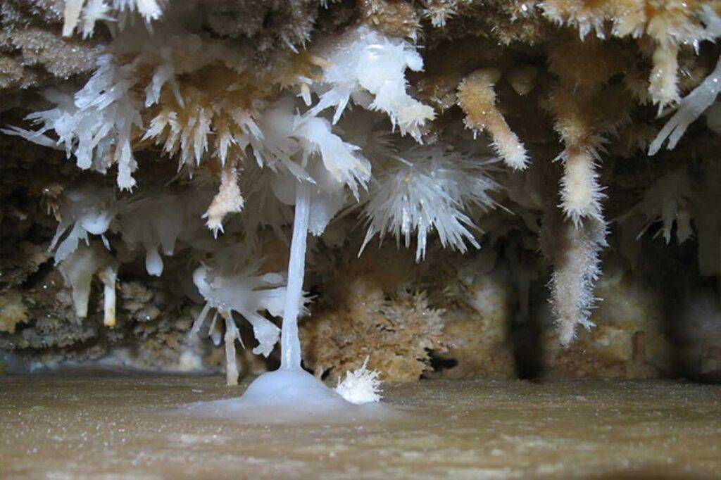 Cueva"Orlova Chuka"